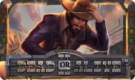 Dead or Alive 2 slot at Golden Pharaoh Casino